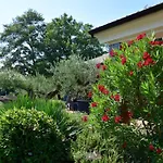 Villa Birds House