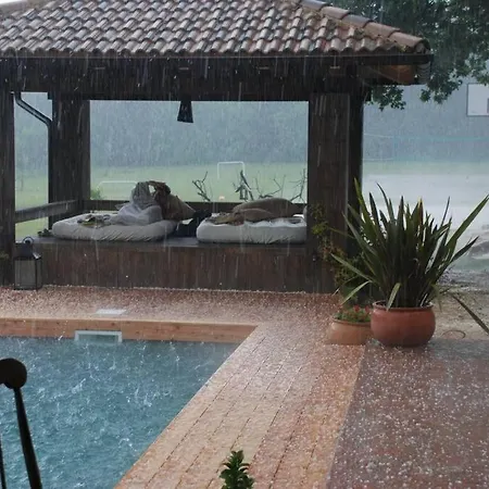 Birds House Villa *