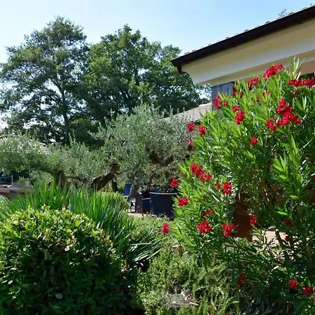 Villa Birds House