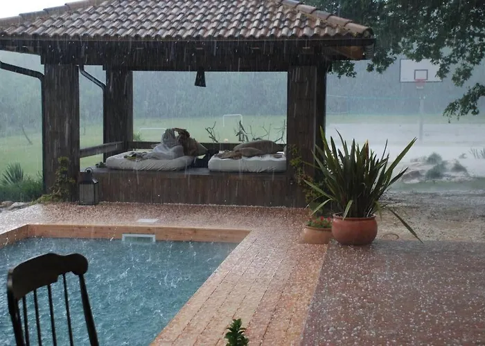 Birds House Villa *